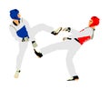 Fight between two taekwondo fighters illustration isolated. Sparring on training action. Self defense skills exercising.