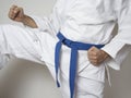 Fighter with blue belt martial arts kick