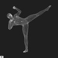 Fighter. 3D Model of Man. Human Body. Sport Symbol. Design Element.