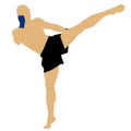 Fighter doing a high kick Royalty Free Stock Photo