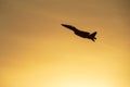 Fighter jet flyover during the Pitch Black Exercise 2024 in Darwin Royalty Free Stock Photo