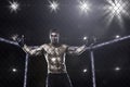 Fighter in mma cage arena Royalty Free Stock Photo