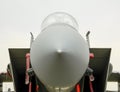 Fighter plane with air intakes