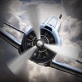 The fighter plane. Royalty Free Stock Photo