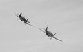 Fighter planes from world war two age pirouetting in the clear sky shot in grayscale Royalty Free Stock Photo