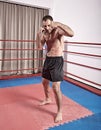 Fighter shadow boxing in the ring Royalty Free Stock Photo