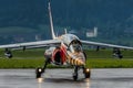 fighterplane with a tiger spike on the landing with lights large