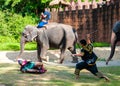 Fighters exercise for Thai traditional martial art demonstration