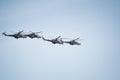 Fighters, flying helicopters at The Victory Day military parade. Royalty Free Stock Photo