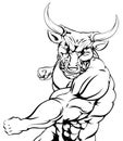 Fighting bull character sports mascot