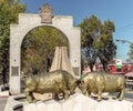 Fighting bulls at Arequipa in Peru