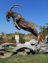 Fighting ibex, driftwood art decoration, Antalya