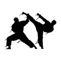Fighting martial art splash silhouette design vector Royalty Free Stock Photo
