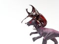 Fighting or rhinoceros beetle fighting with black toy dinosaur isolated on white background Royalty Free Stock Photo