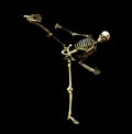 Fighting Skeleton