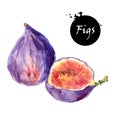 Figs Royalty Free Stock Photo
