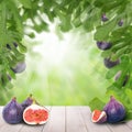 Figs fruits on wooden table in green Sunlight garden Royalty Free Stock Photo