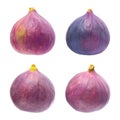 Figs isolated Royalty Free Stock Photo