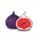 Realistic whole and half cut figs