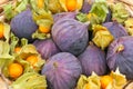 Figs and physalis