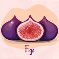 Figs, purple whole Fruit and half. Summer tropical fruits .