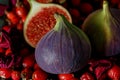 Figs and red dried rose hips. Shallow depth of field.