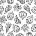 Figs seamless vector pattern. Ripe fruits whole, half, slice, garden tree leaves. Sketch of dessert with juicy pulp, seeds Royalty Free Stock Photo