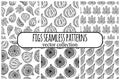 Figs set of seamless vector patterns. Tasty garden fruits whole, half, piece. Sketch of ripe berry with juicy pulp, seeds