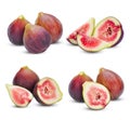 Figs sweet fruit on white background