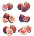 Figs sweet fruit on white background