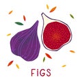 Figs: whole fruit and half sliced on a white background