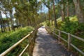 Figueiras beach wood runway in Islas Cies island Royalty Free Stock Photo