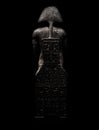 Figure allusive to the pharaoh, isolated on black background seen from behind with engravings