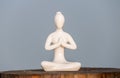 Figure of beautiful young girl meditating and do yoga on wooden surface. With empty space for text Royalty Free Stock Photo