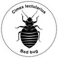 Figure of the bed bug Cimex lectularius