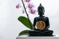 Buddha with ethereum