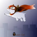 Figure cat superhero in flight, Royalty Free Stock Photo