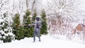 Figure 2. After clearing snow from garden conifers. The gardener cleans the snow from the trees with a broom after a blizzard so