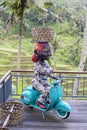 Figure of a dark-skinned woman sits on a motorcycle Vespa with a wicker basket on her head in cafe near rice terraces of Tegallala