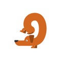 Figure 9 dog. Dachshund font nine. Home pet ABC symbol. Home animal An Alphabet Sign
