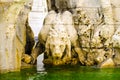 The figure of the Drinknig Lion, a fragment of the Fountain of Four Rivers, Navon square, Rome, Italy.