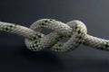 Figure-eight knot Royalty Free Stock Photo