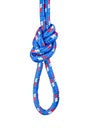 Figure eight knot