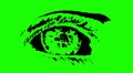 Figure of an eye in green screen background, sketch, stylized, simplified, image, logo.