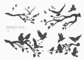 Figure flock of flying birds on tree branch Royalty Free Stock Photo