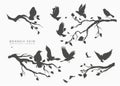 Figure flock of flying birds on tree branch Royalty Free Stock Photo