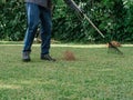 Figure of a gardener collecting pine debris with a rake