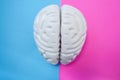 The figure of human brain separates half blue pink background. The concept of male and female brain. The idea for brain union or d