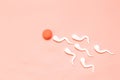 The figure of human sperm and human egg Royalty Free Stock Photo