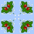 Figure, illustration. Bush strawberries with three red berries and white flowers